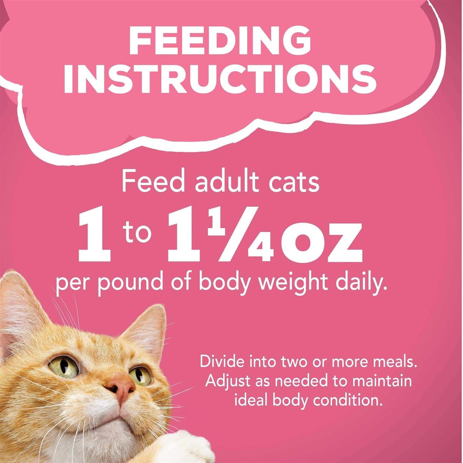 Wet Cat Food Surfin & Turfin O89249