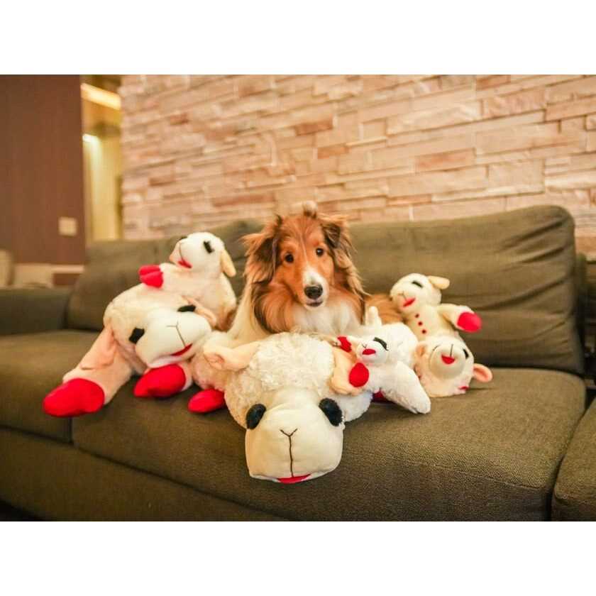 Lamb Chop Dog Bed E62682