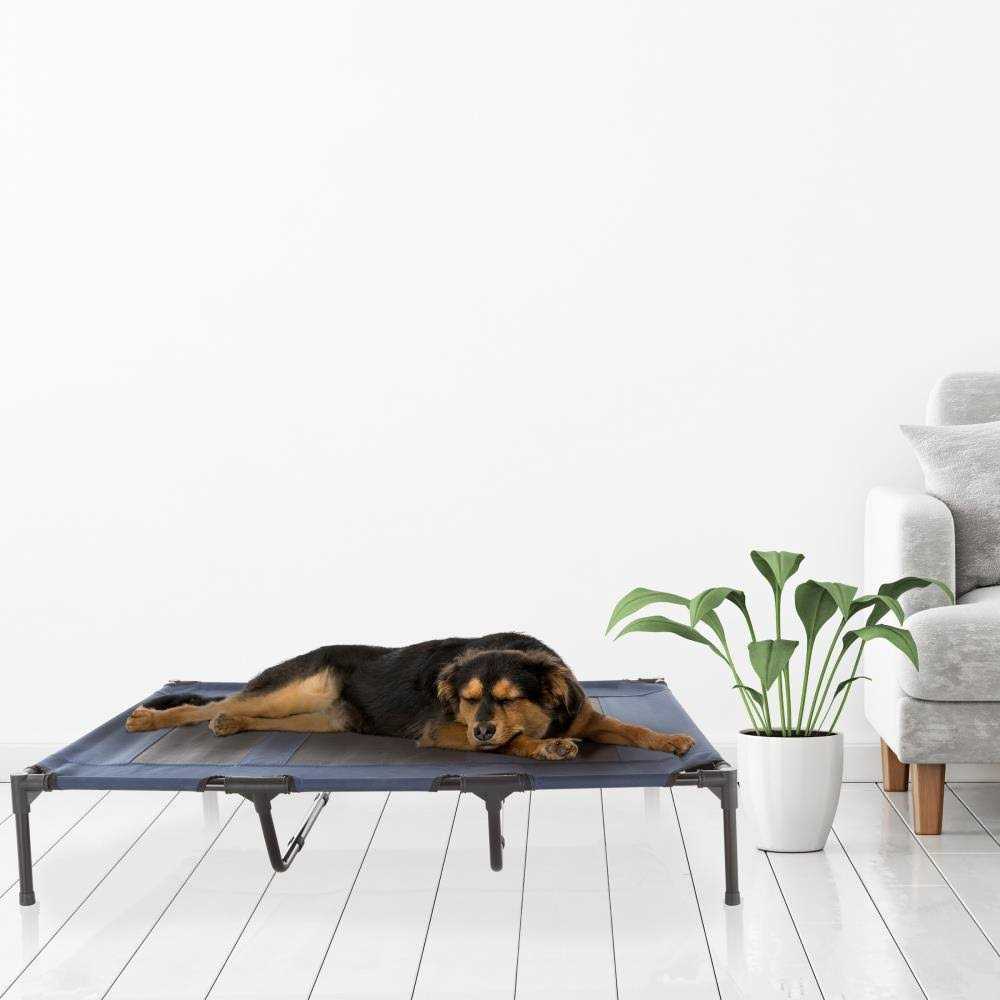 Elevated Pet Bed with Cot-Style Frame J883700