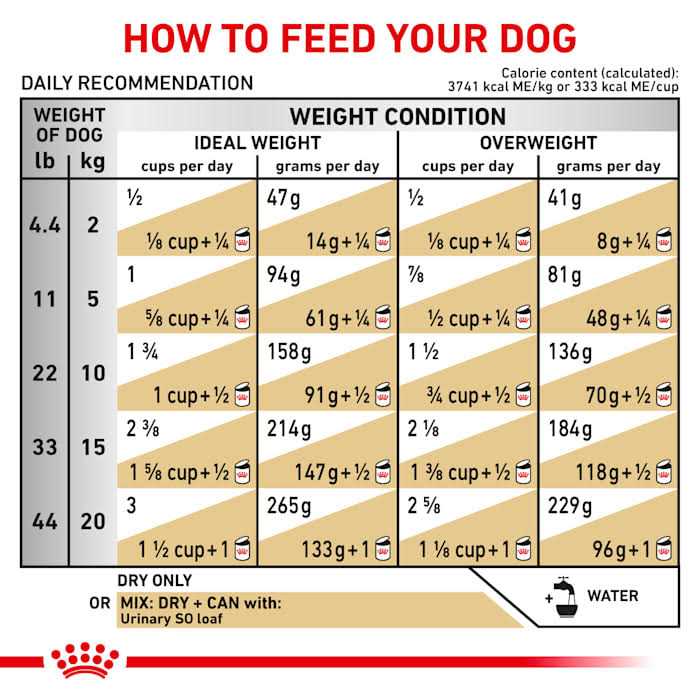 Veterinary Diet Canine Urinary SO Dry Dog Food W91992