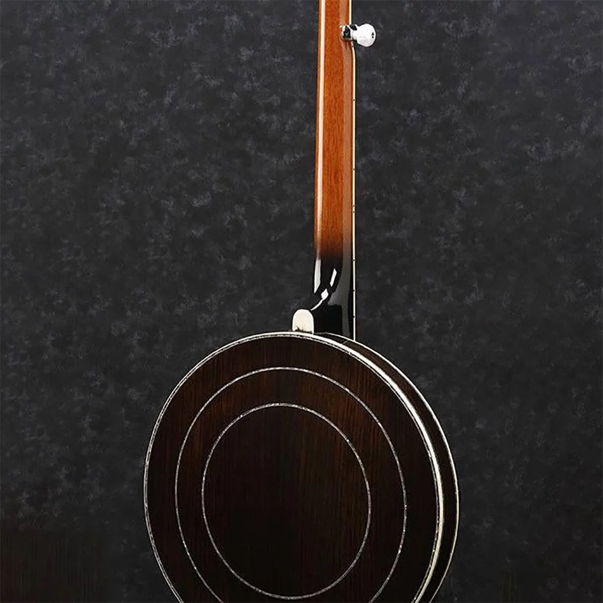 5-String Banjo J3964
