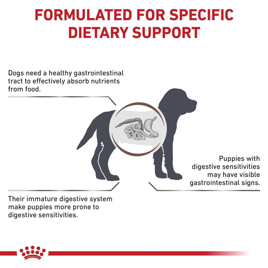 Gastrointestinal Puppy Dry Dog Food R89615