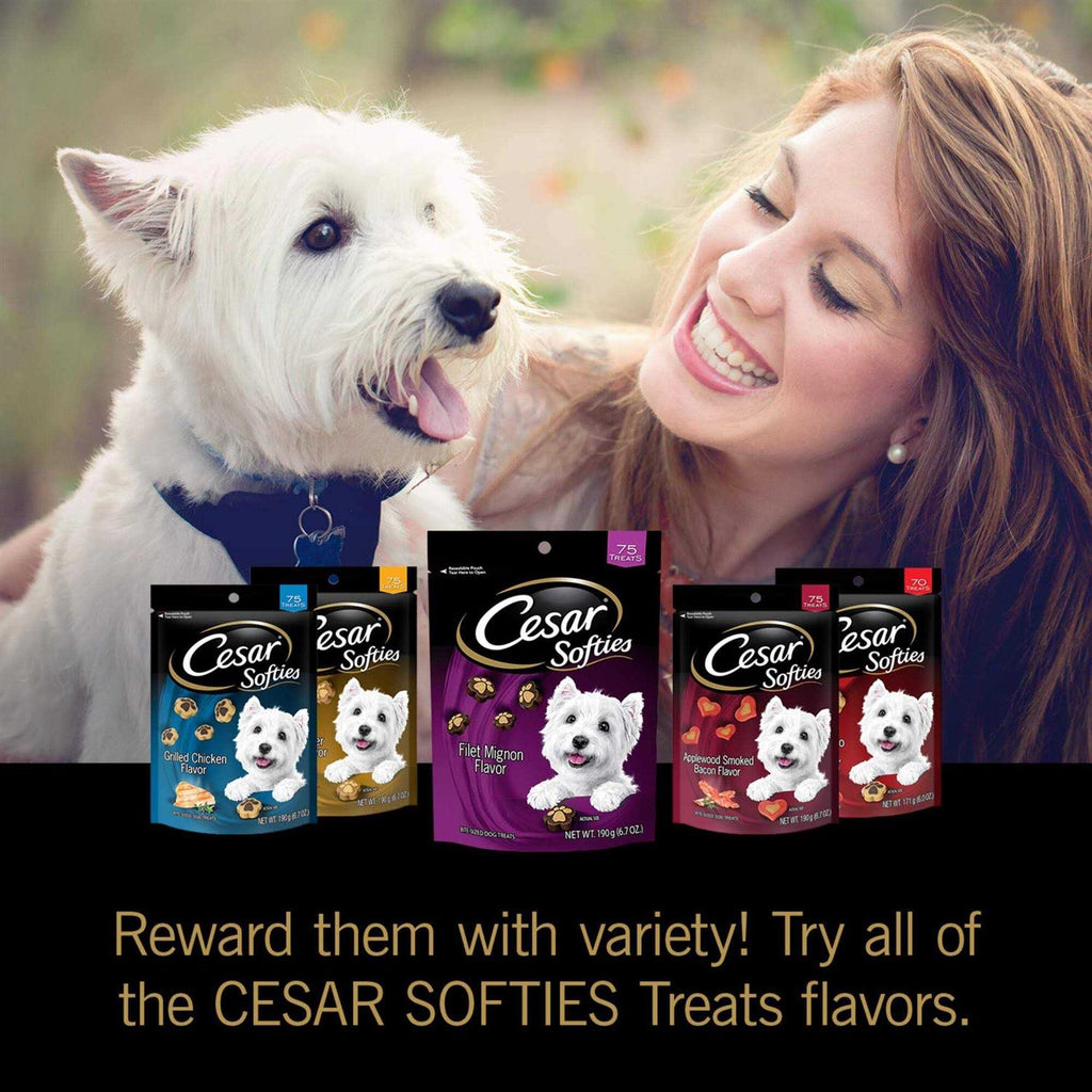 Soft Dog Treats Y13248