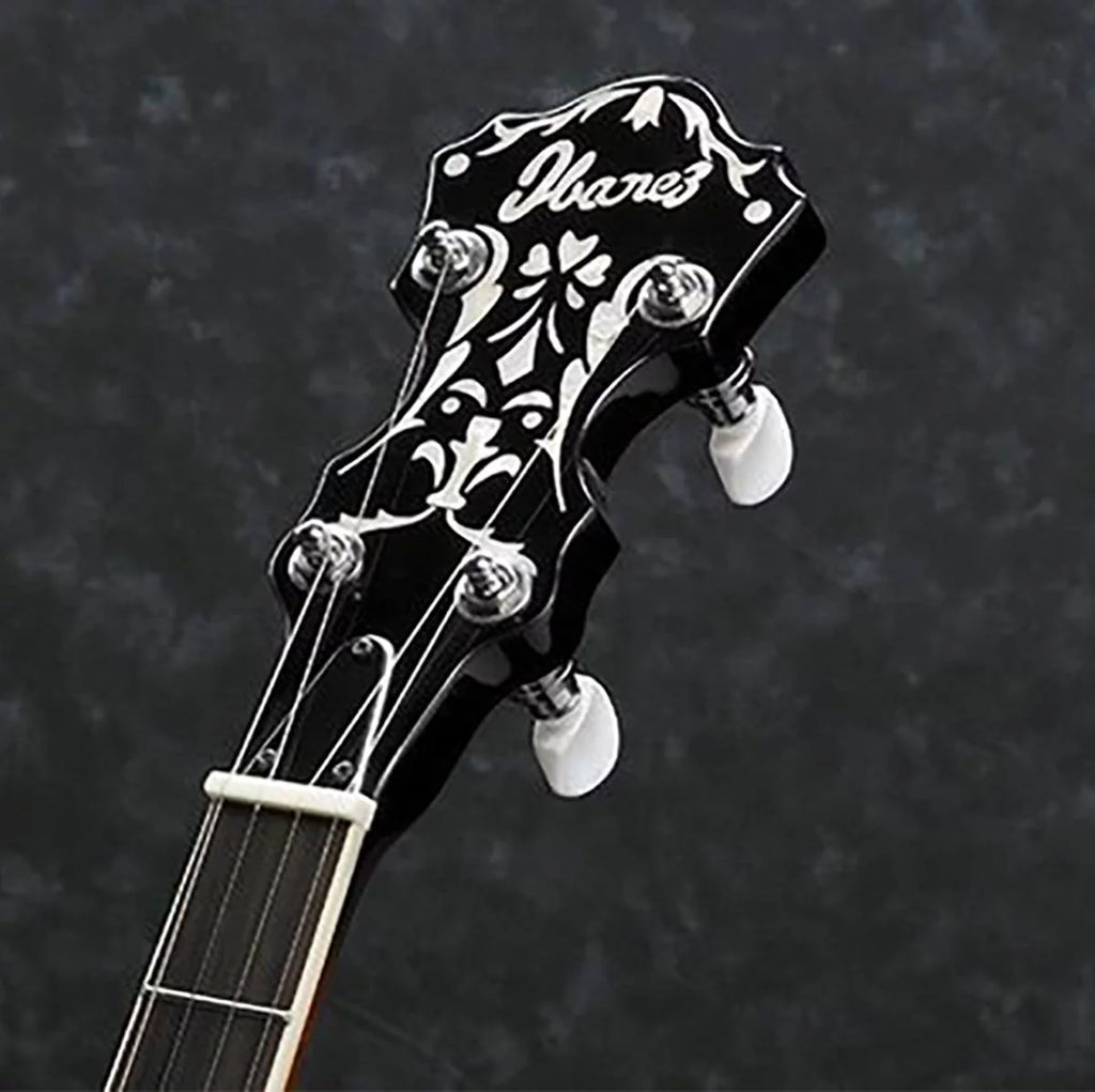 5-String Banjo J3964