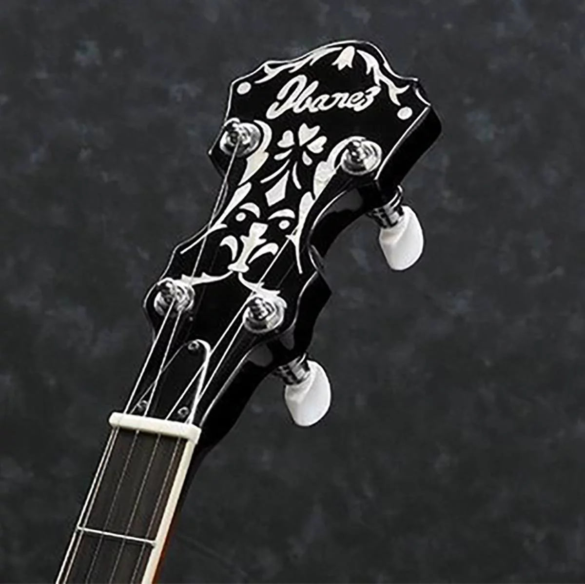 5-String Banjo J3964