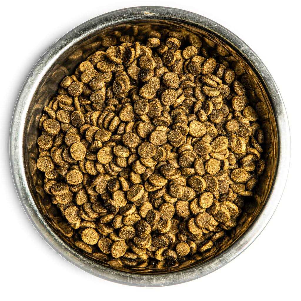 Dry Dog Food Q312918