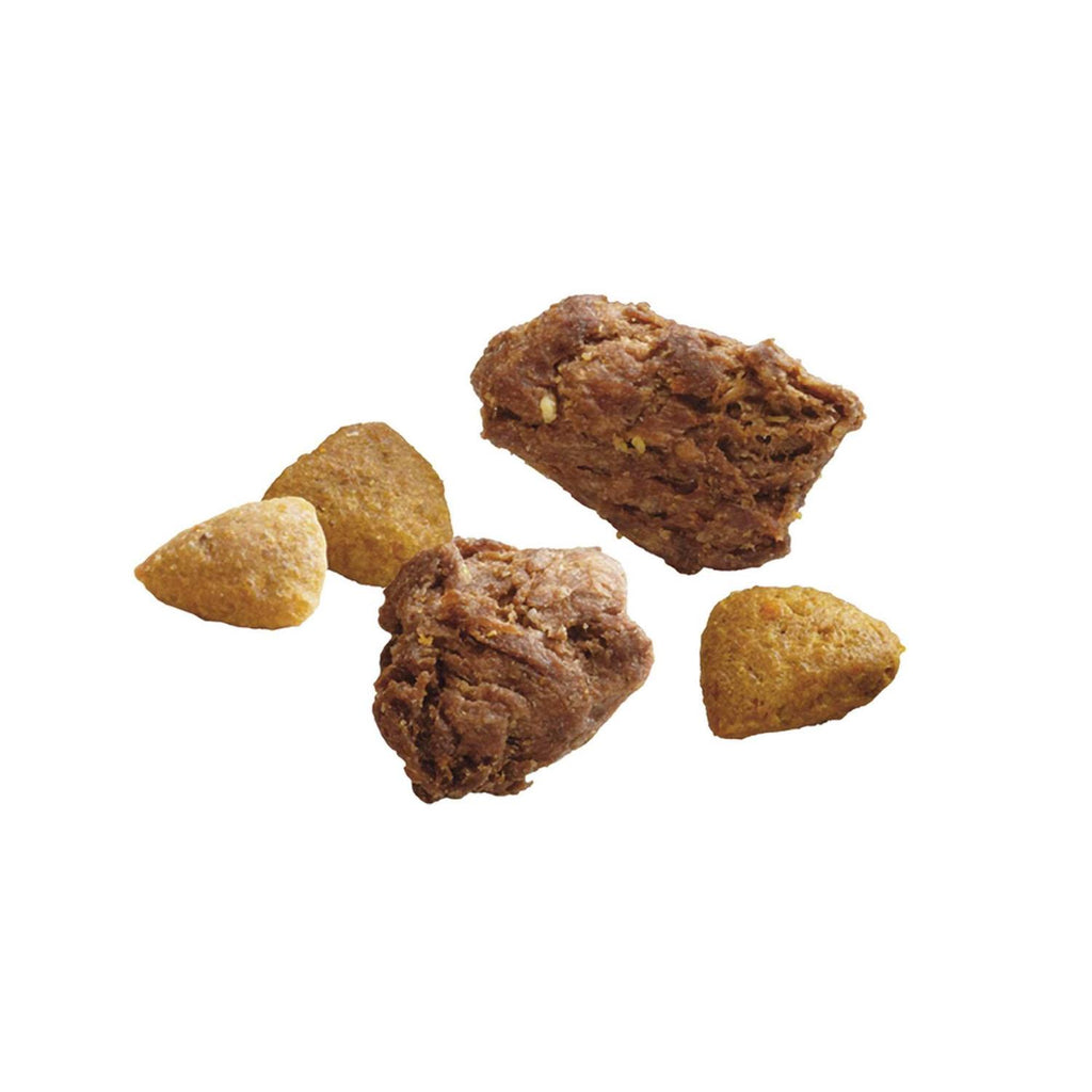Dry Dog Food Y94249