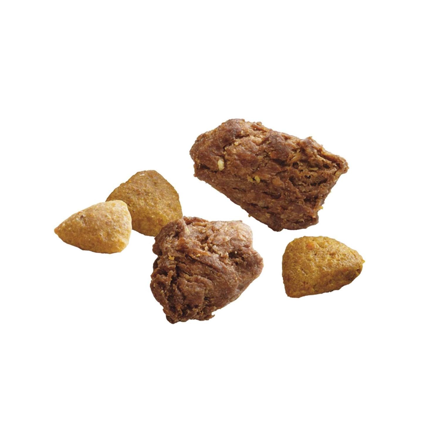 Dry Dog Food Y94249