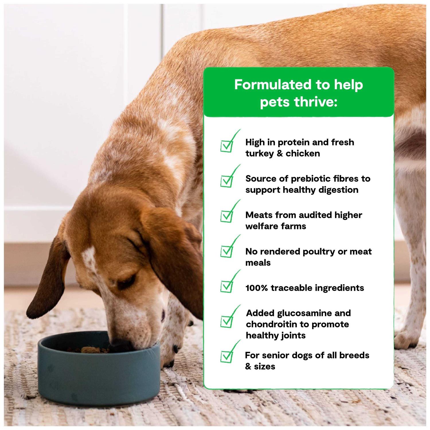 Senior Dry Dog Food U5884
