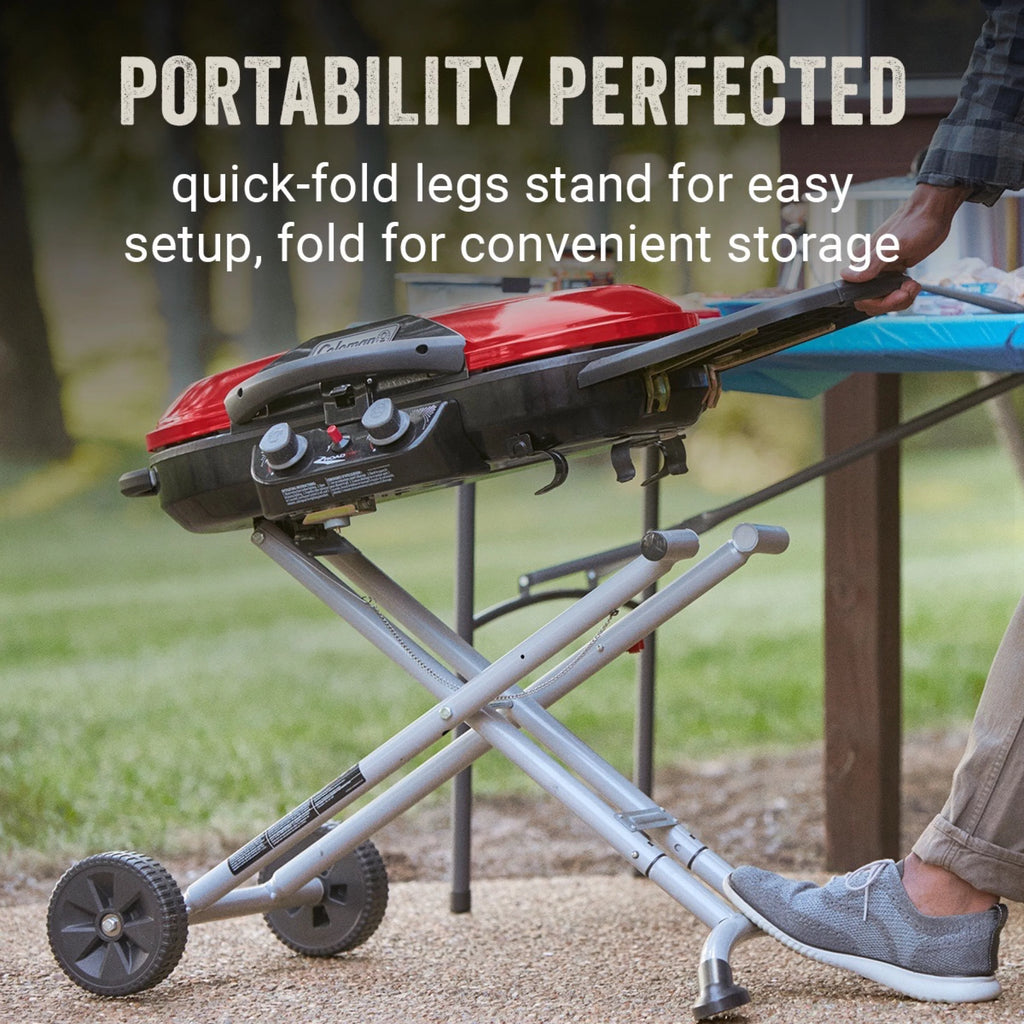 2 Burner Propane Gas Portable Grill P245