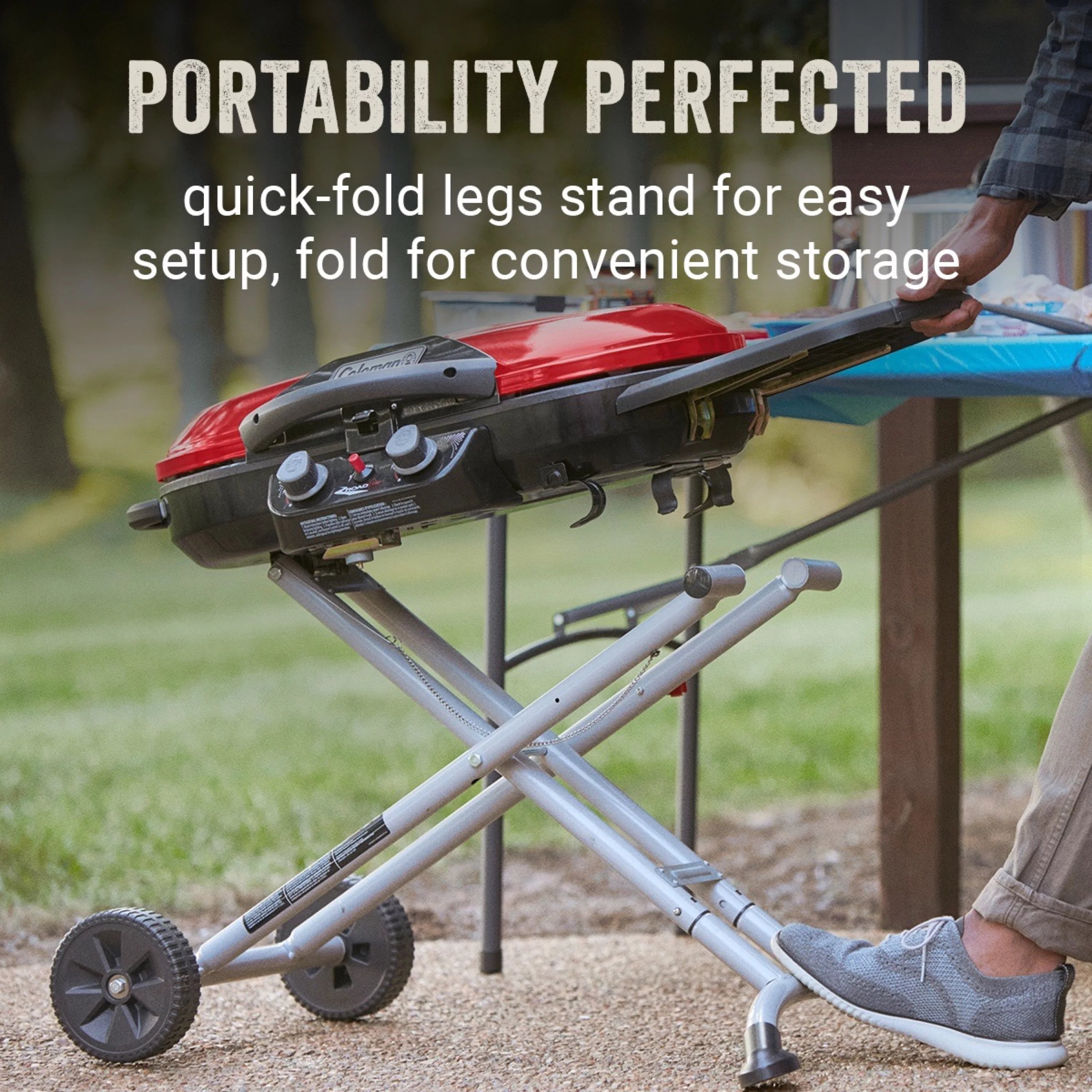 2 Burner Propane Gas Portable Grill P245