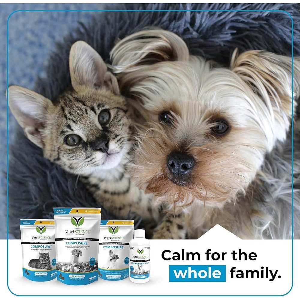 Composure Calming Supplement for Cats E783475