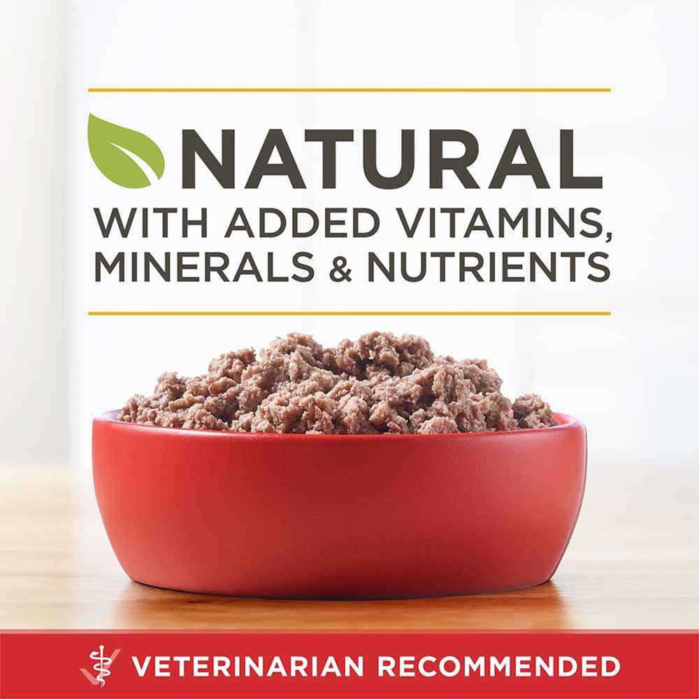 Grain Free Wet Dog Food Turkey and Venison I247182