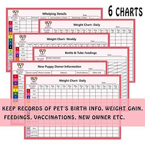 14PCS Soft Nylon Adjustable Breakaway Puppy ID Collars with Record Keeping Charts I5553