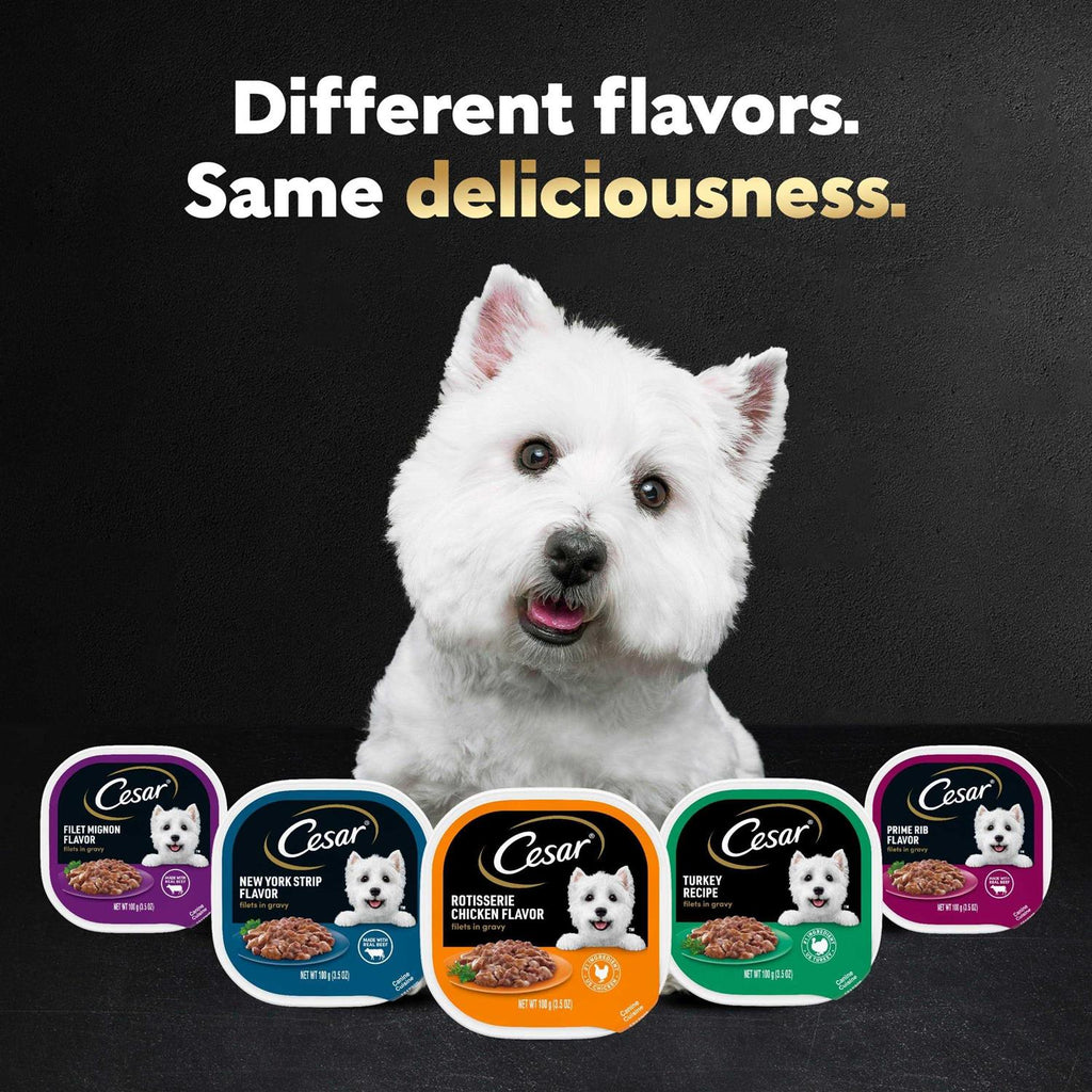 Gourmet Filet Mignon in Sauce Dog Food S467766