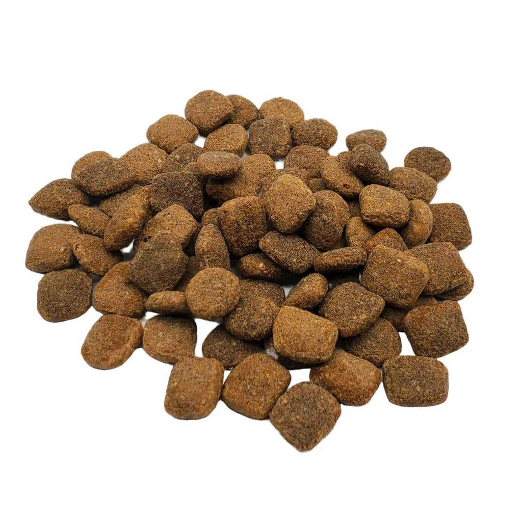 Chicken & Turkey Dry Dog Food N383296