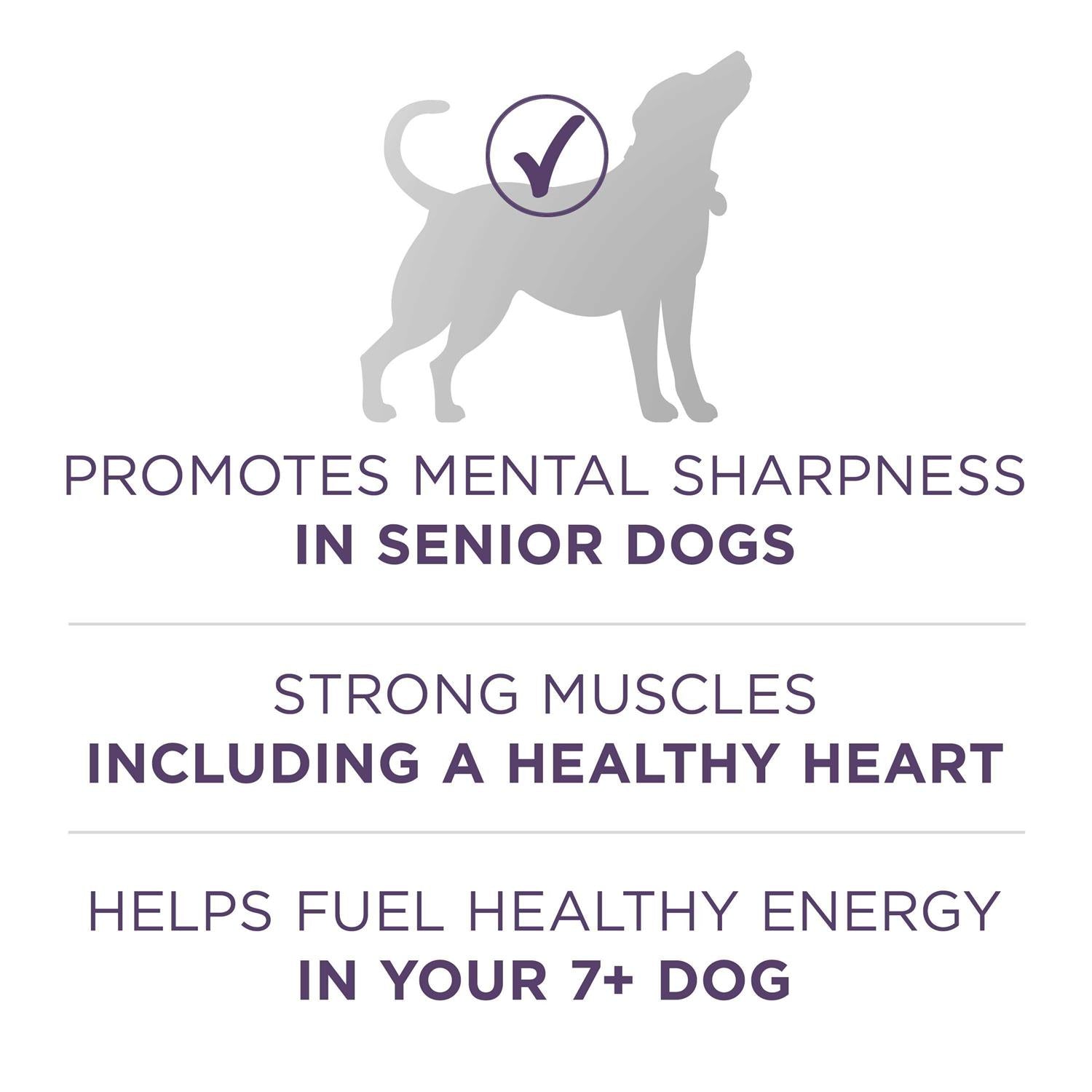 Adult Dry Dog Food for Senior Dogs H630