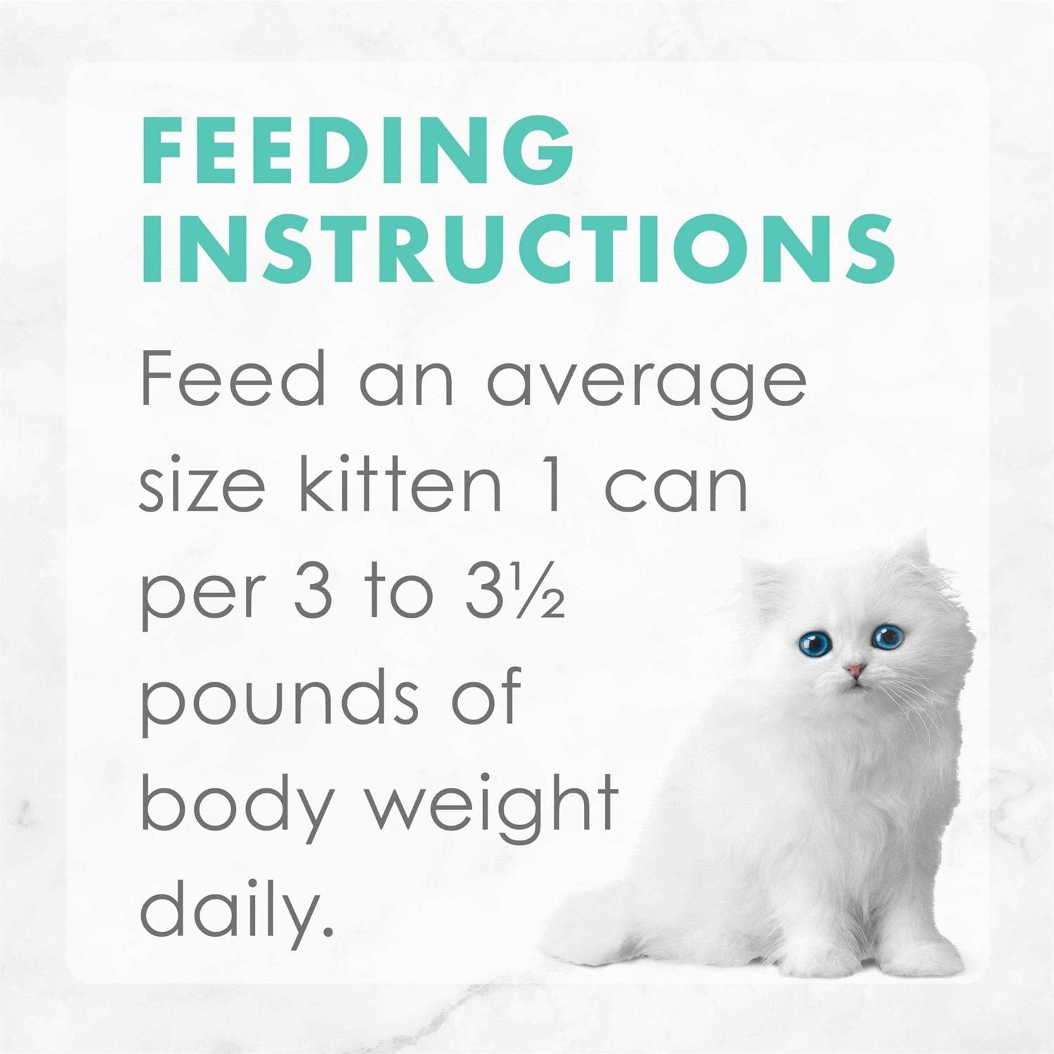 Grain Free Pate Wet Kitten Food Variety Pack T11178