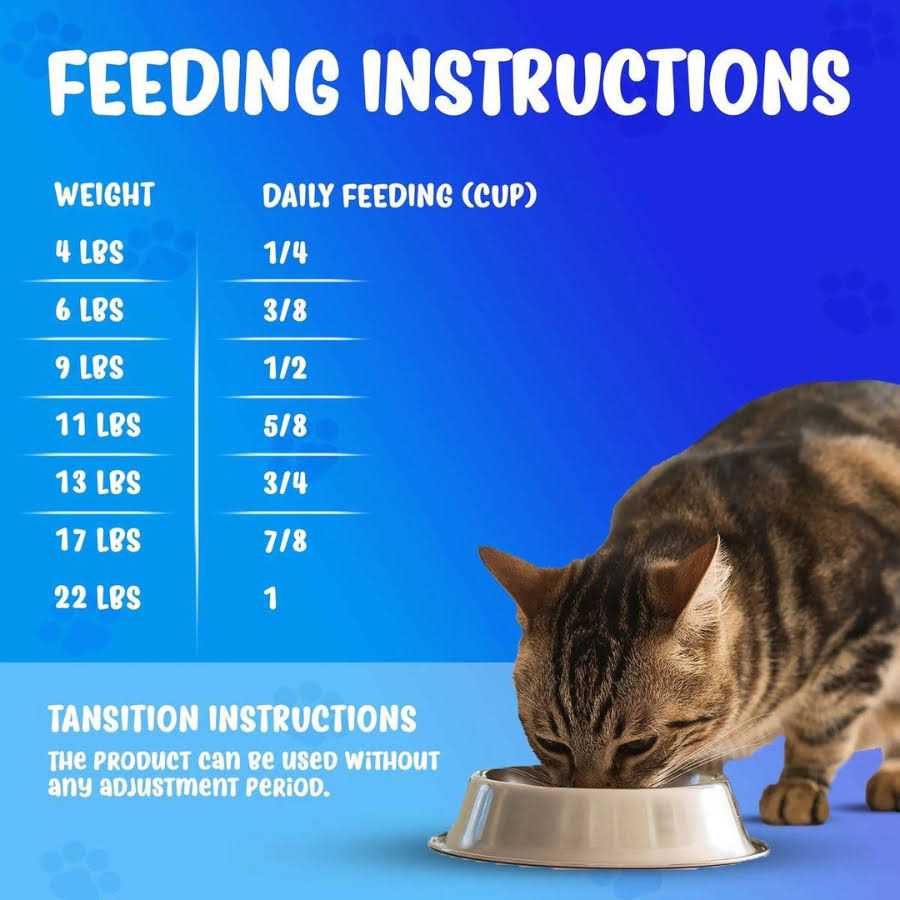 Urinary Dry Cat Food V370