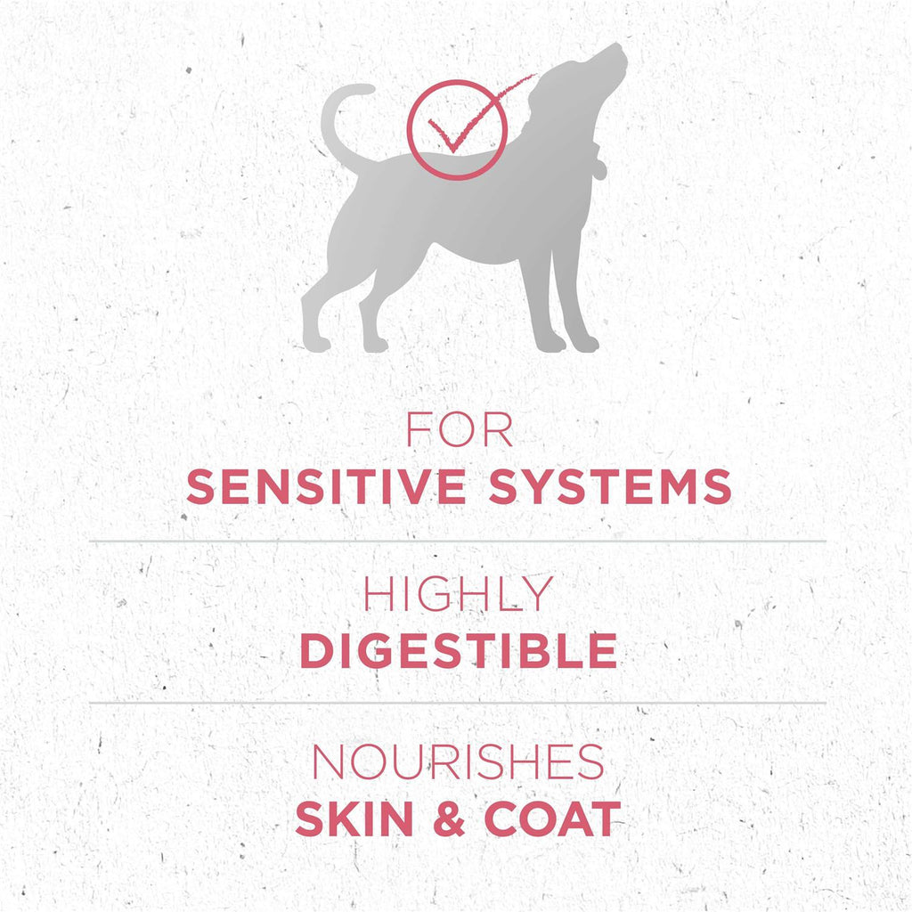 Dry Dog Food for Skin & Coat B4880