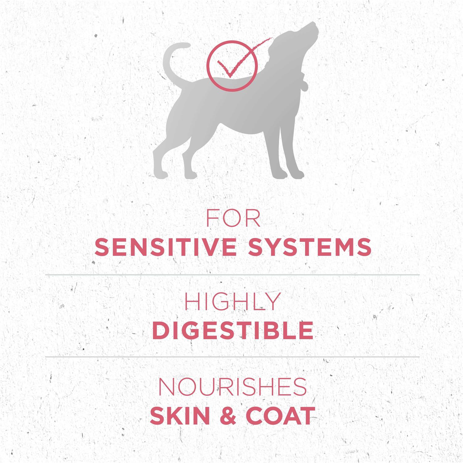 Dry Dog Food for Skin & Coat B4880
