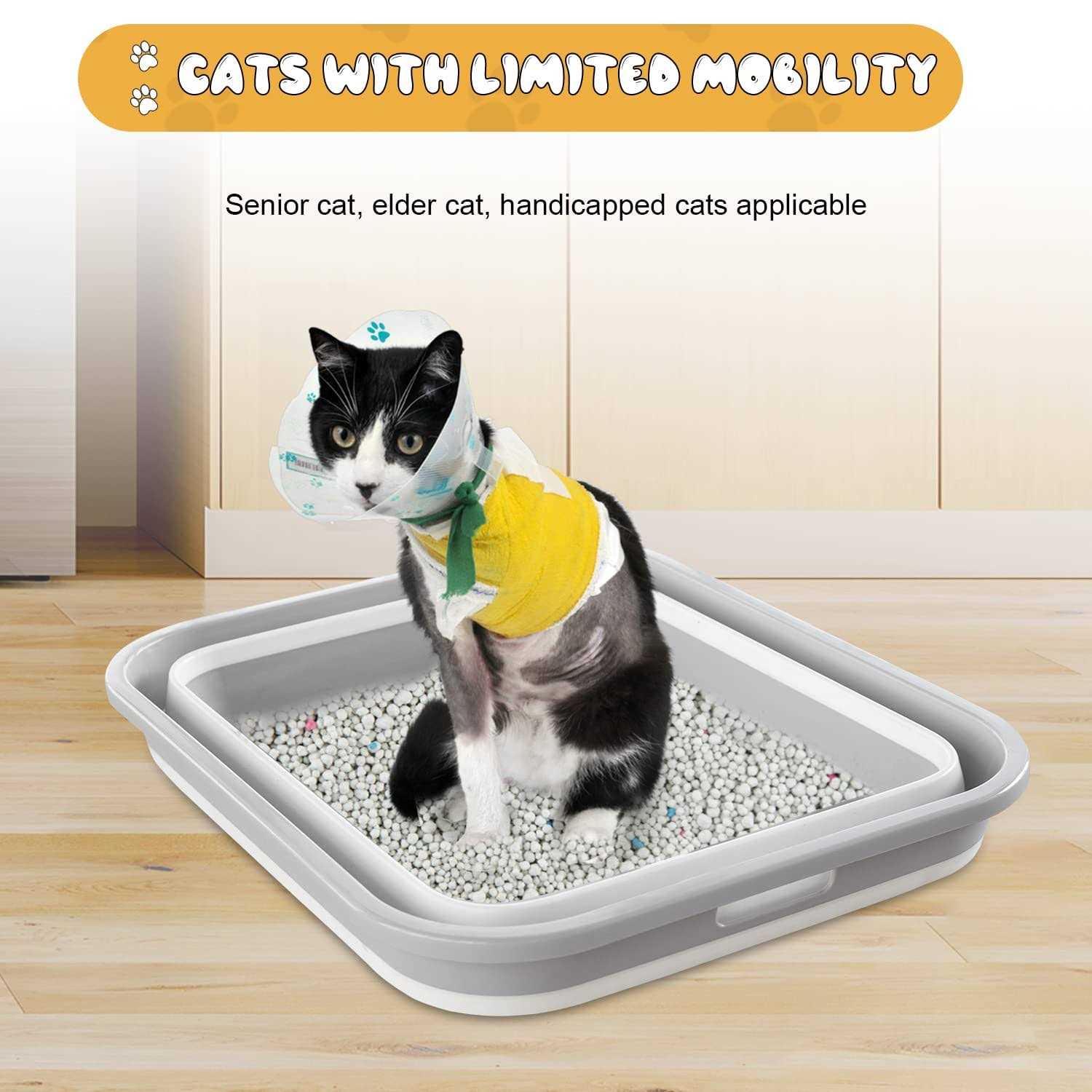Senior Cat Litter Box Low Entry for Arthritic Disabled Cats W2956