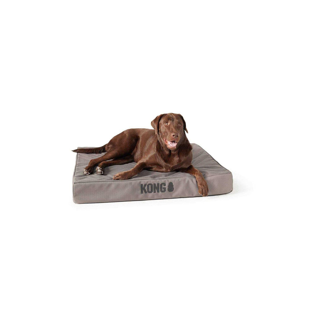 KONG Gray Orthopedic Mat Pet Bed 38 x30 x5 - Pet Supplies online store