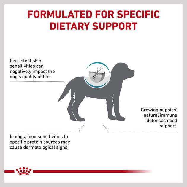 Hydrolyzed Protein Puppy Dry Dog Food L43495