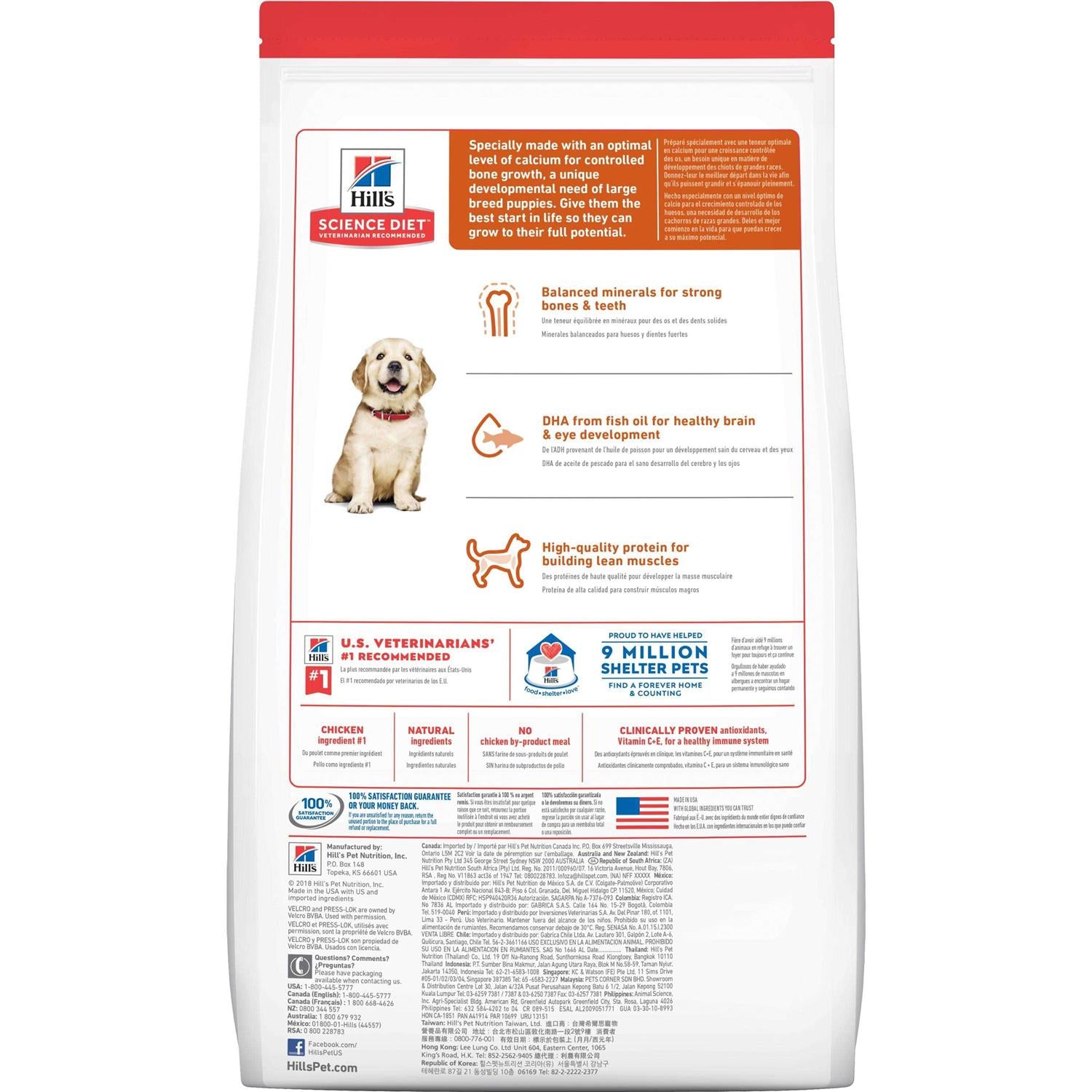 Large Breed Puppy Dry Dog Food Chicken Recipe C782201
