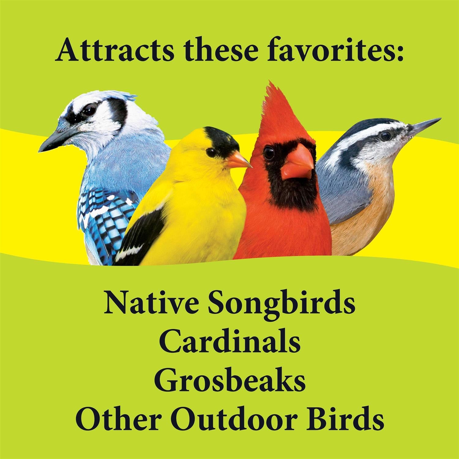 Deck Porch Patio Blend Wild Bird Food H113