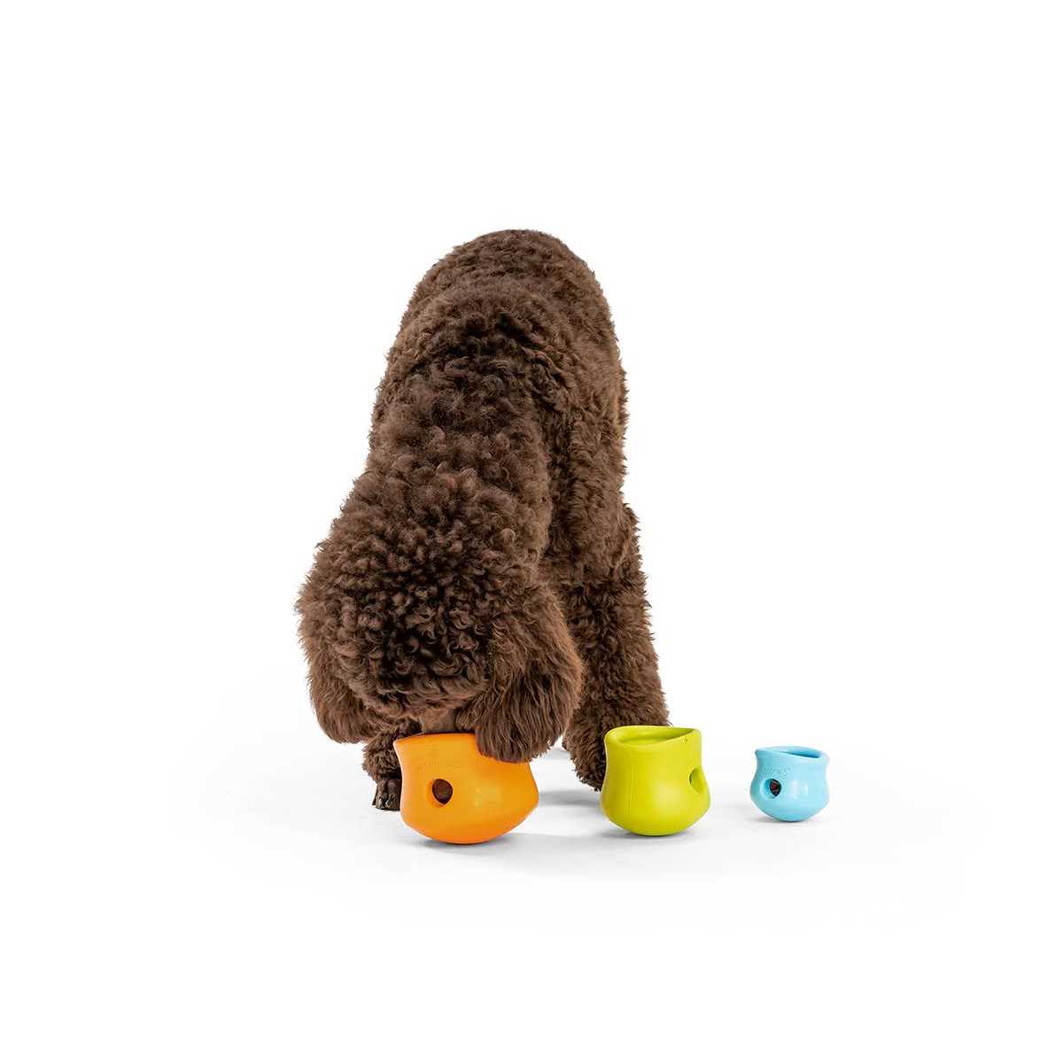 Dog Toy B16158