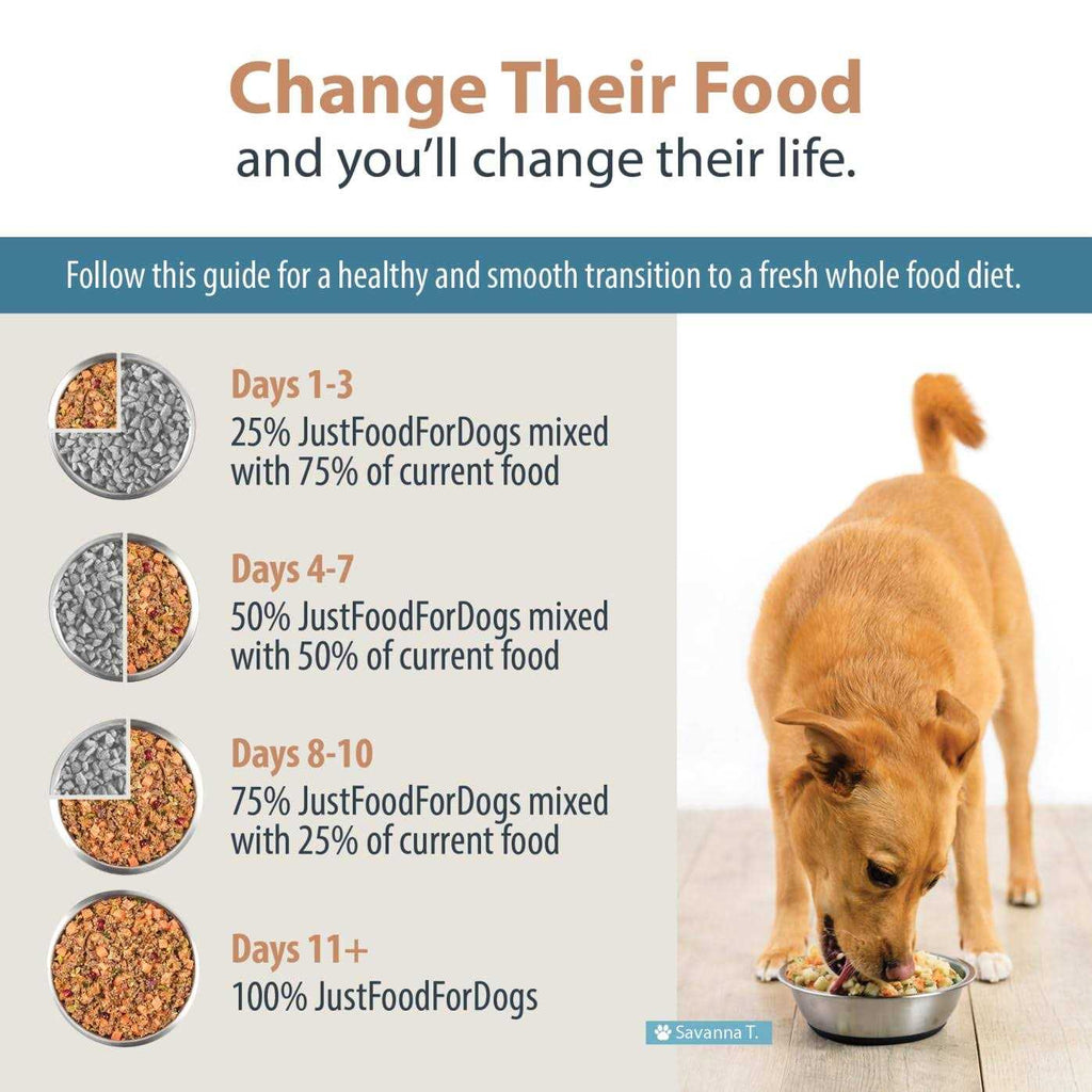 Balanced Remedy Frozen Dog Food B8072