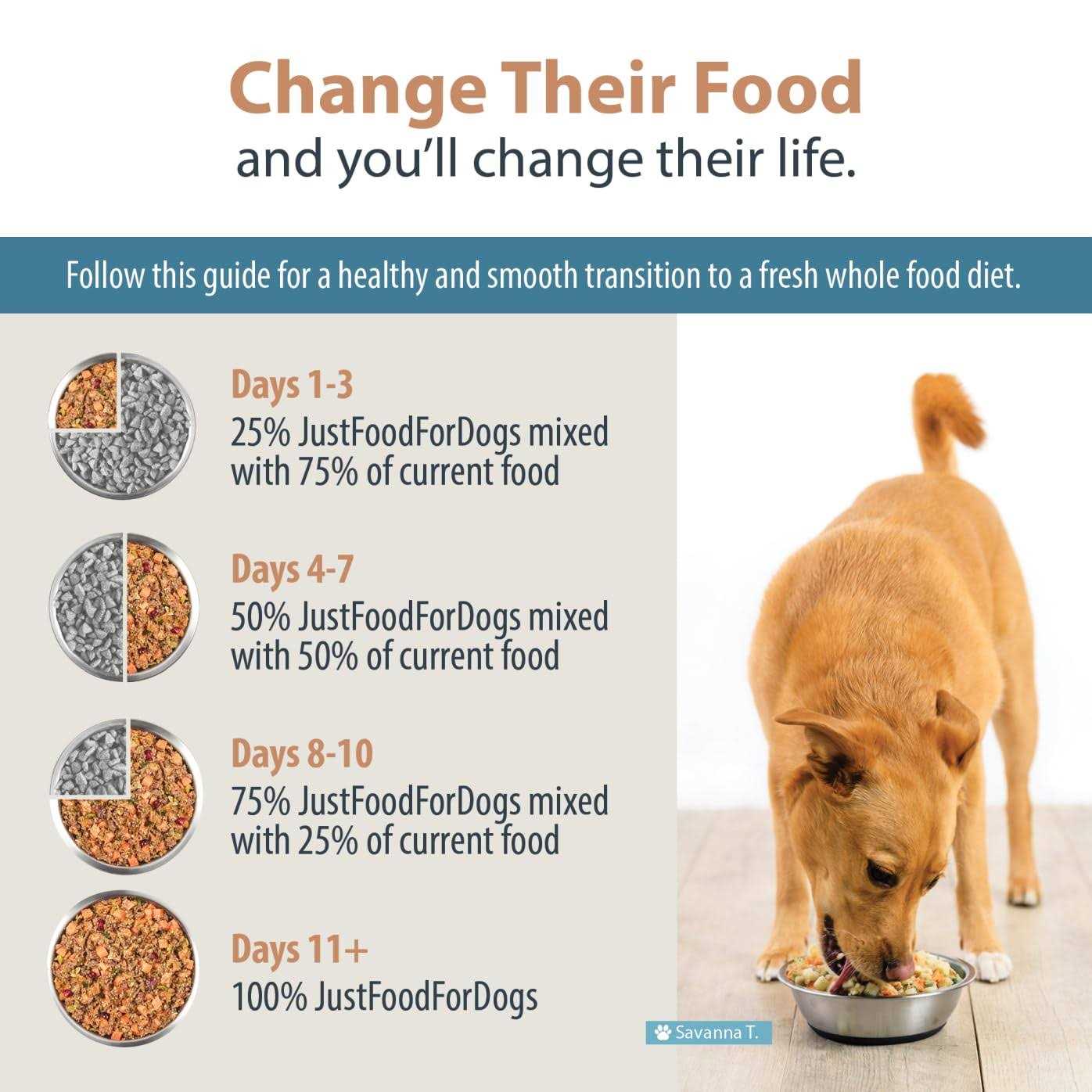Balanced Remedy Frozen Dog Food B8072
