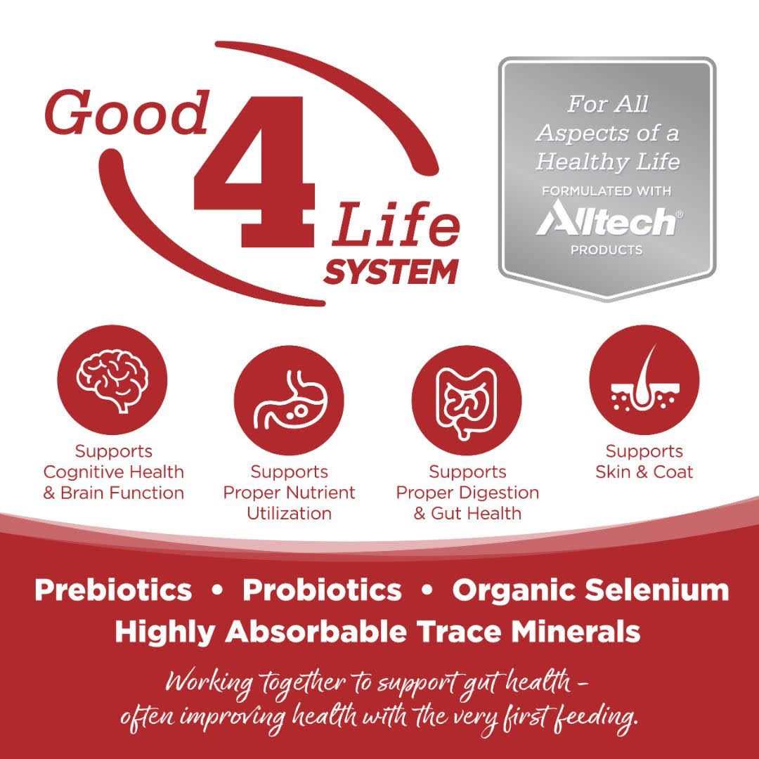 Grain Free Dry Dog Food with Beef and Red Lentils M4472