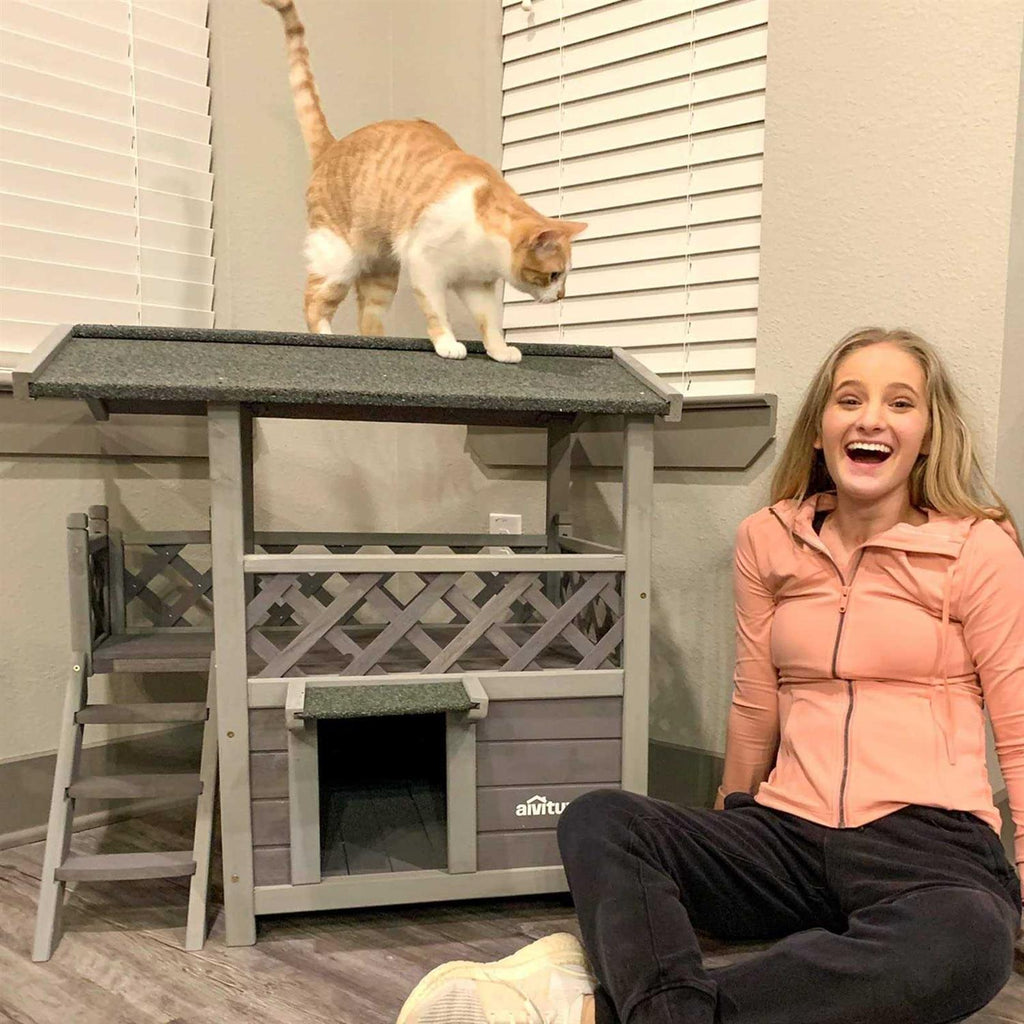 Insulated Cat House with Escape Door for Outdoor Indoor Use B5107