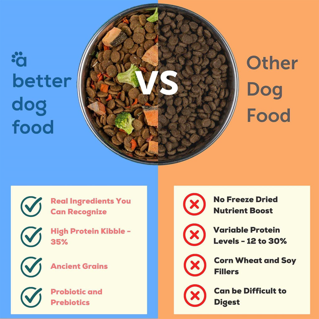 Salmon Raw Dog Food I79796