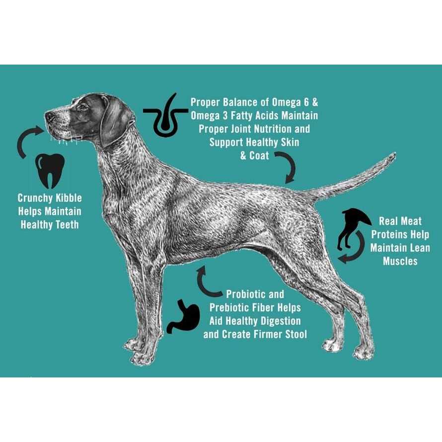 Adult Dry Dog Food T650