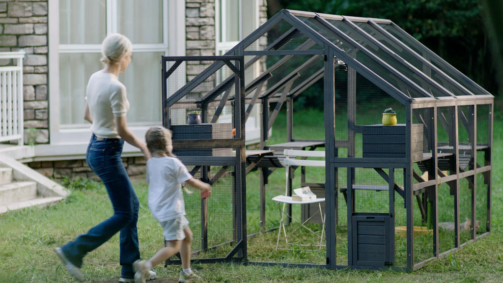 Outdoor Walk-in Catio Enclosure with Bridges and Platforms J984