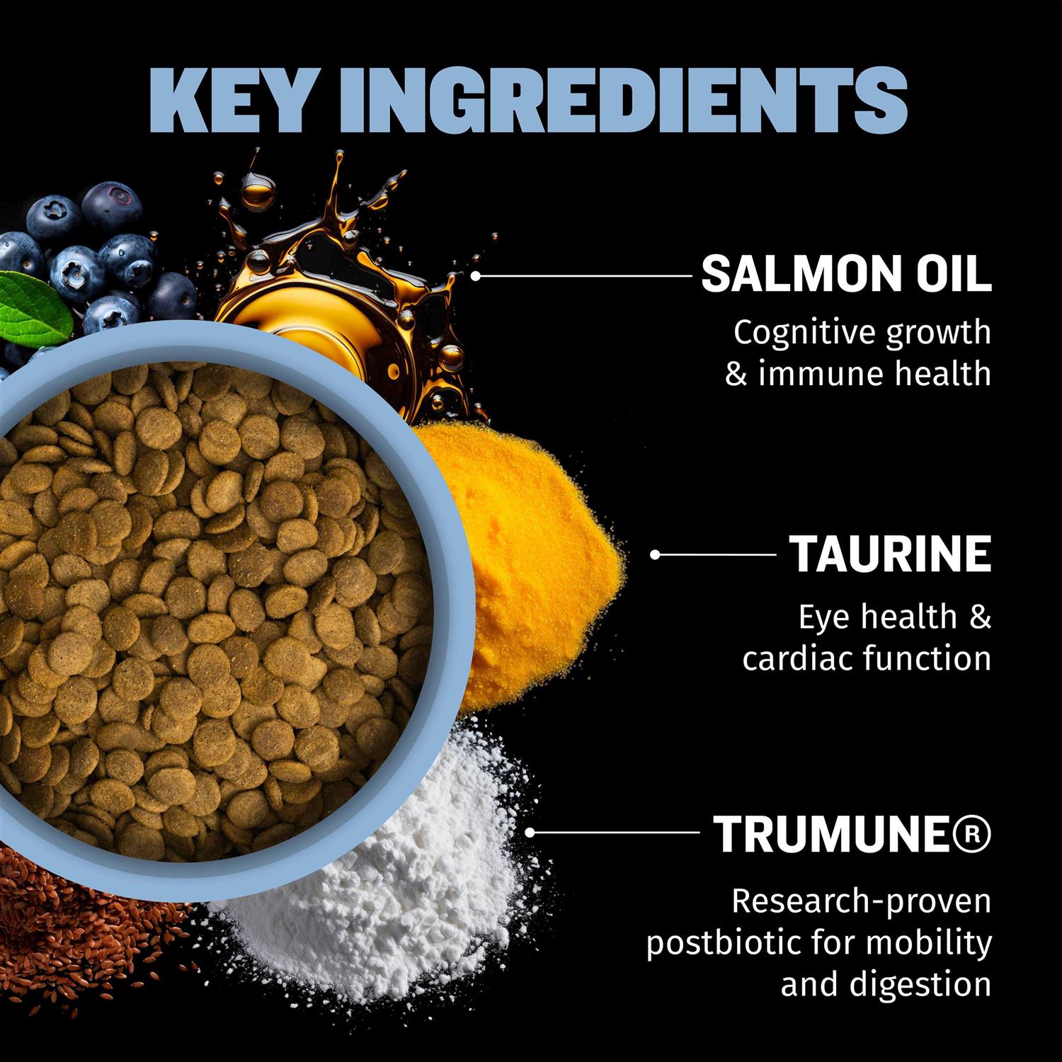 Small Breed Dog Food O16346