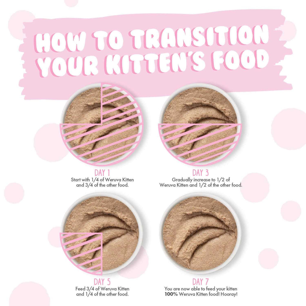 Chicken Breast in Puree Wet Cat Food Y393330