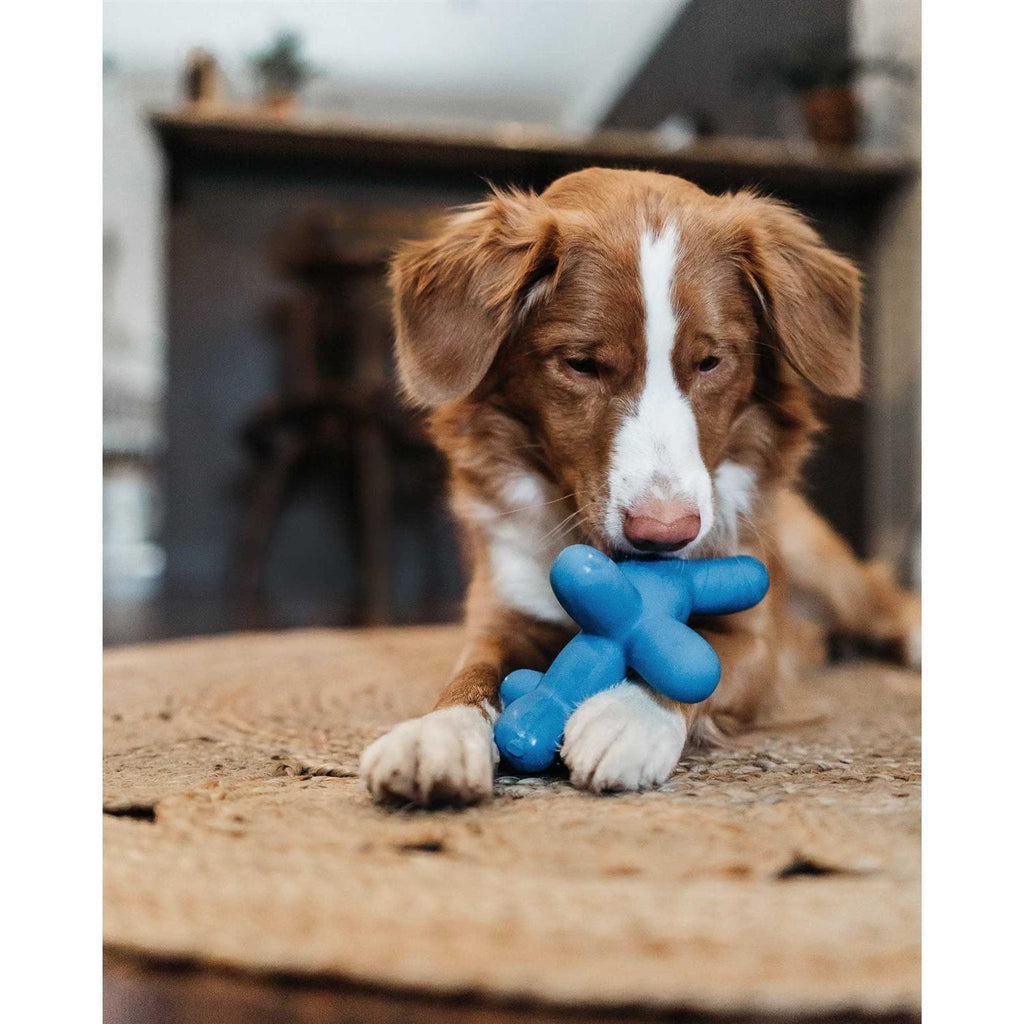 Balloon Dog Toy for Pets S9390