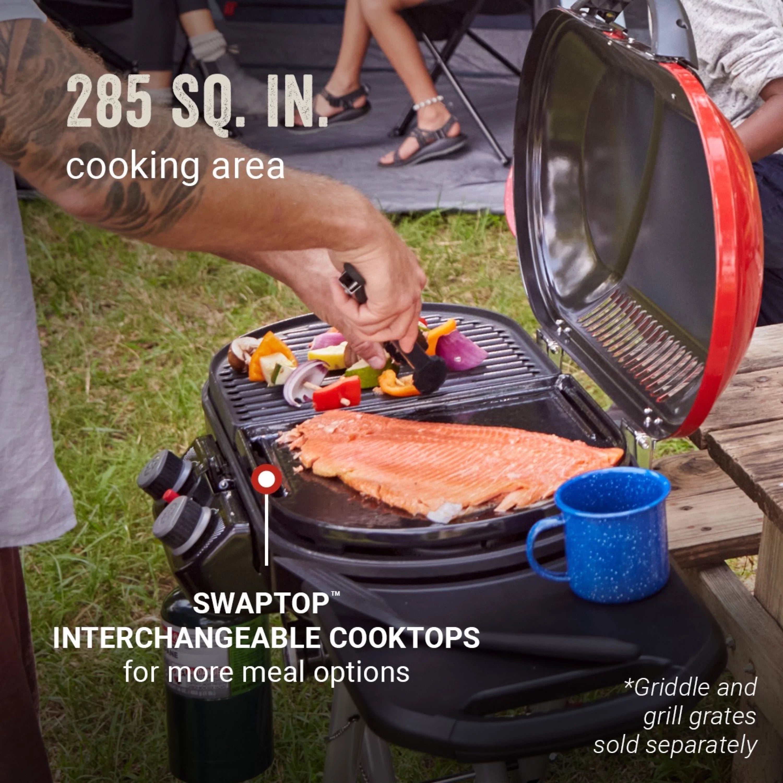 2 Burner Propane Gas Portable Grill P245