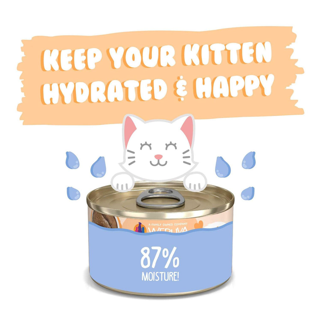 Kitten Tuna & Salmon in Hydrating Puree Cat Food H45560