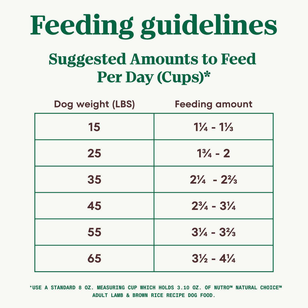 Adult Lamb & Brown Rice Recipe Dry Dog Food E81460