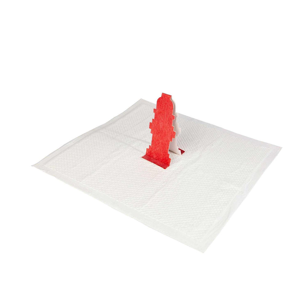 Pop-Up Pee Pad for Dogs P203
