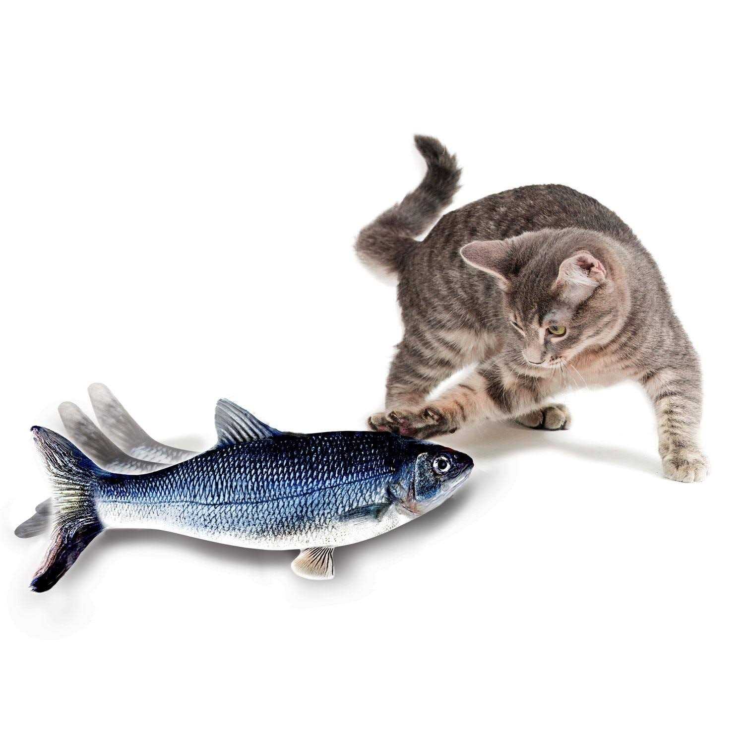 Cat Toy K2690