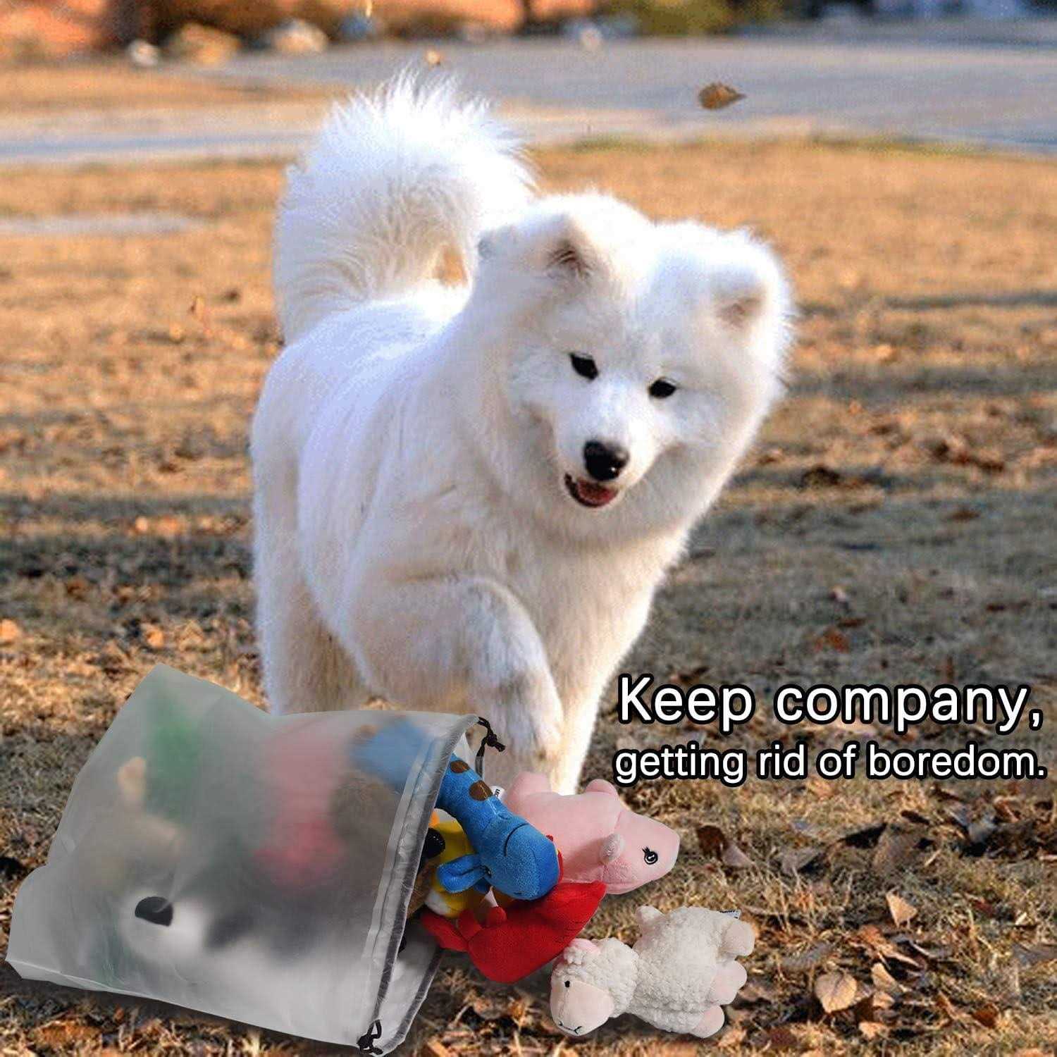 Squeaky Plush Dog Toy Pack for Puppy Small Stuffed Chew Toys with Squeakers L794753