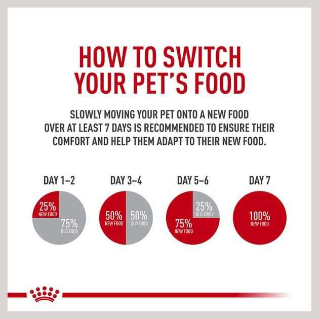 Small Adult Wet Dog Food R5982