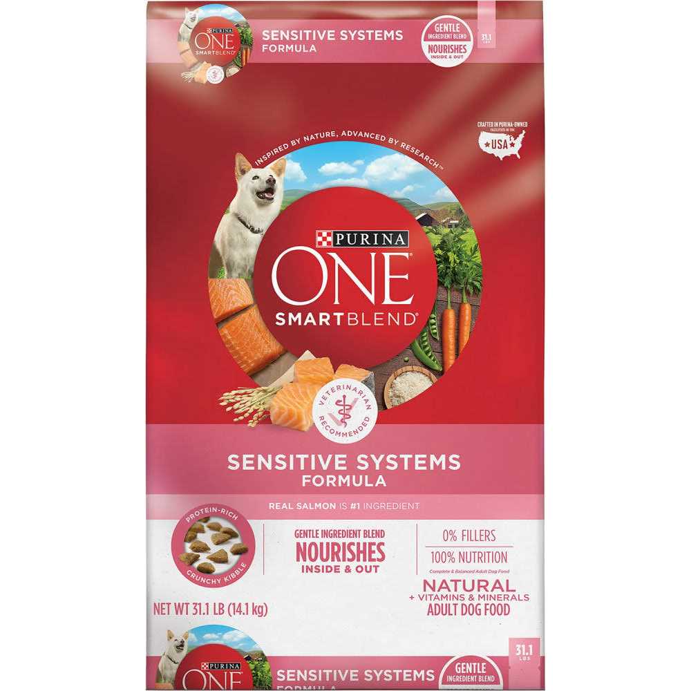 Dry Dog Food for Skin & Coat B4880