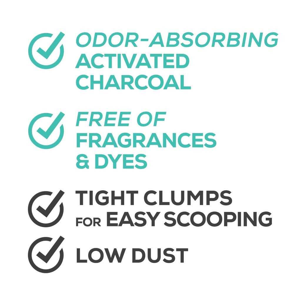 Unscented Clumping Cat Litter V654119